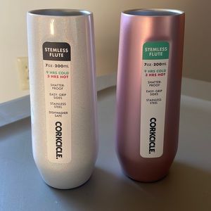 CORKCICLE Stemless Flutes